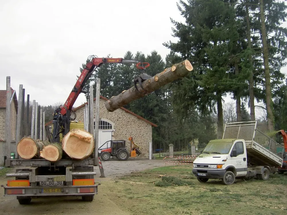 Abattage près de Limoges